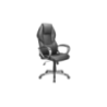 default caption