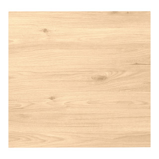Porte Casa H 58 cm x L 60 cm Chêne hickory