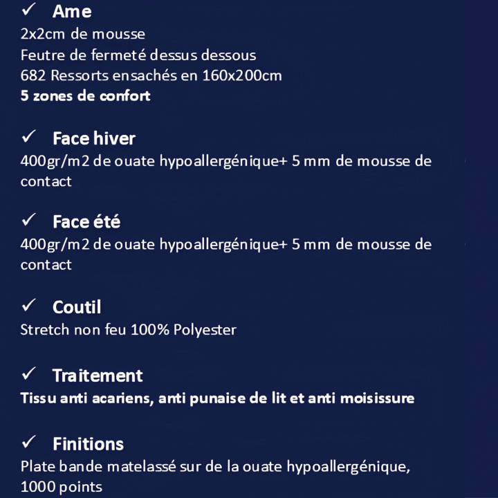 Lot de 2 matelas 90 x 200 cm - Roscoff ( relié par velcro )
