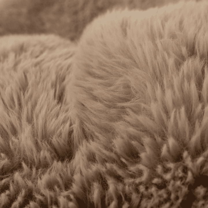 Pouf Colorado Camel