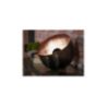 default caption