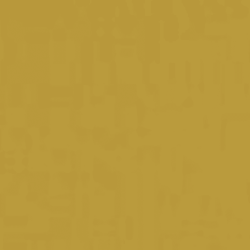 default caption