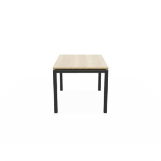 Table Vicenza 1285 EP79 HA 84 HT75