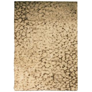 Tapis 160 / 230 cm Cream SKI1