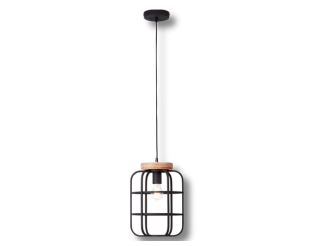 Suspension 1L Gwen 99254/66