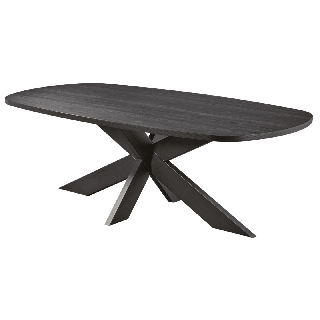 Table Ovale fixe 230cm TF2101 Pied araignée noir Raphael