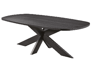 Table Ovale fixe 230cm TF2101 Pied araignée noir Raphael