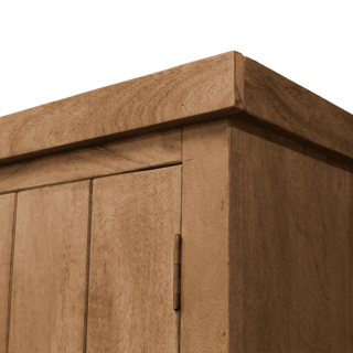 Vitrine Dhruv bois mangue