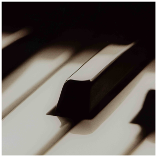 Table de salon Piano noir/blanc