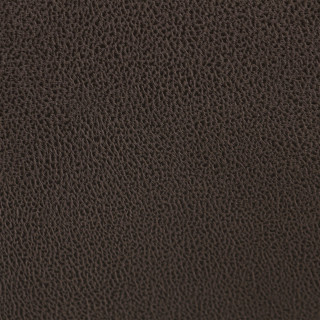 Salon 3 + 2 places 18172 gris
