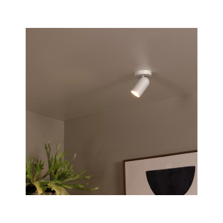 Spot 1L Punch 13958 / 01 / 31 Blanc