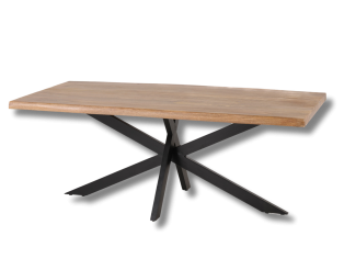 G06494 - 200 table ARYA