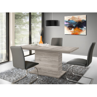 Table extensible 160 - 200 cm BACCIO EST42-D41