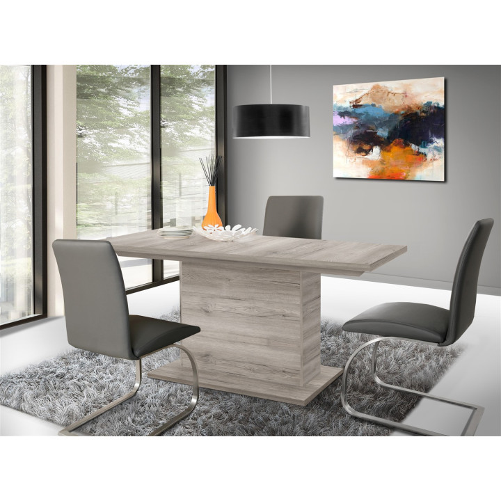 Table extensible 160 - 200 cm BACCIO EST42-D41