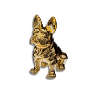 Chien Eden doré