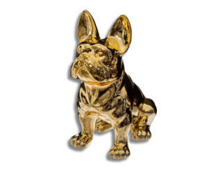 Chien Eden doré