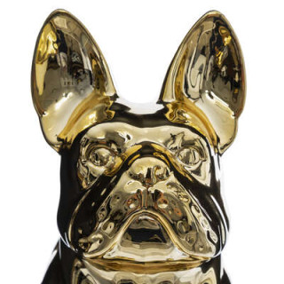 Chien Eden doré