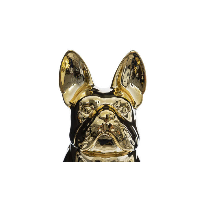 Chien Eden doré