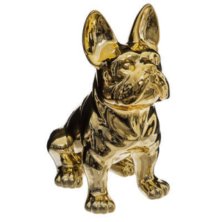 Chien Eden doré