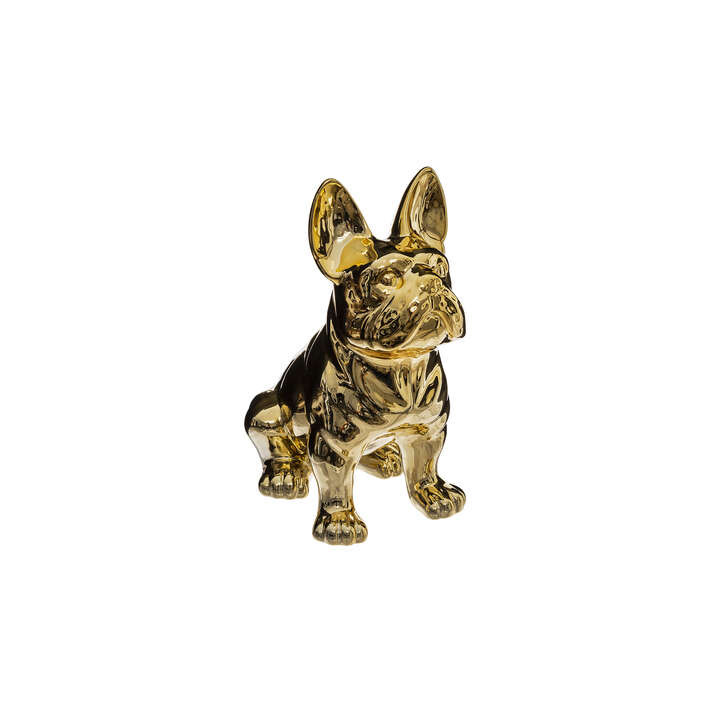 Chien Eden doré