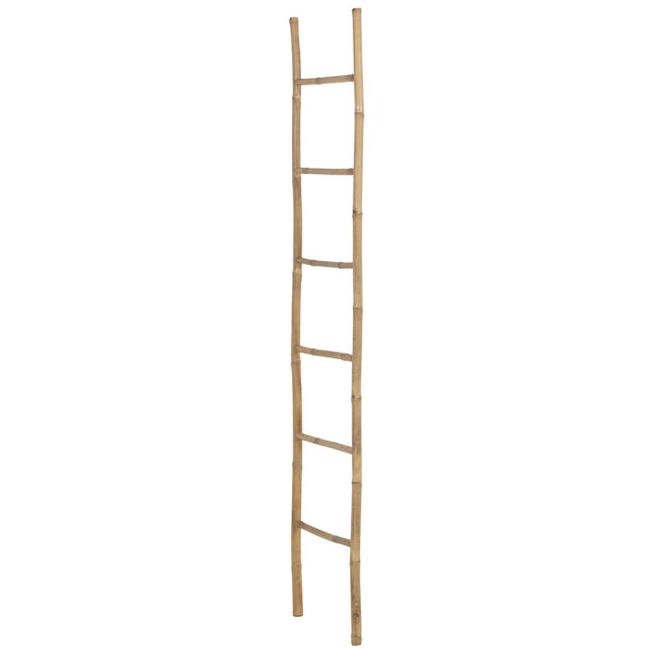 Echelle 157098 bambou