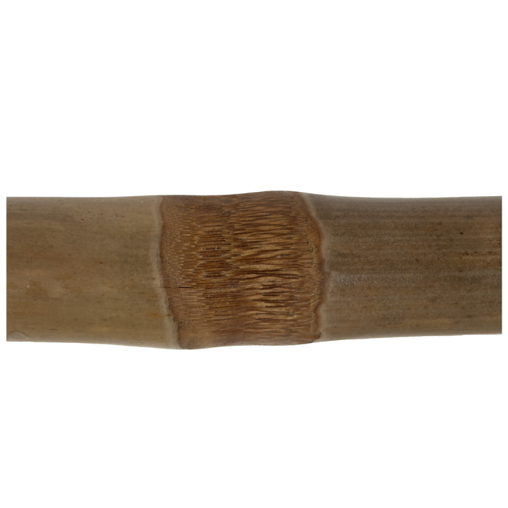 Echelle 157098 bambou