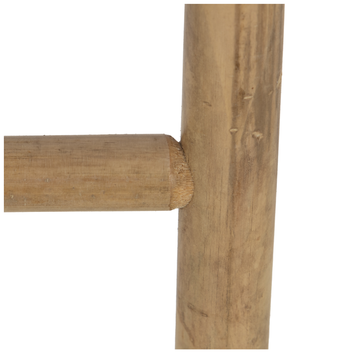 Echelle 157098 bambou