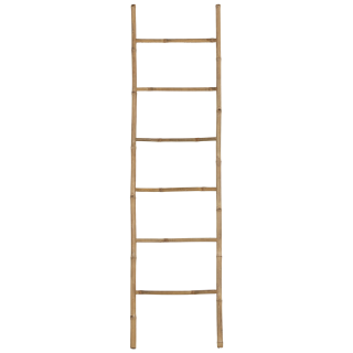 Echelle 157098 bambou