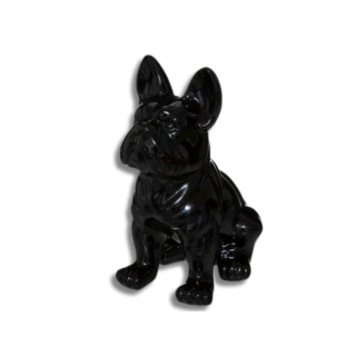 Chien EDEN noir