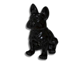 Chien EDEN noir