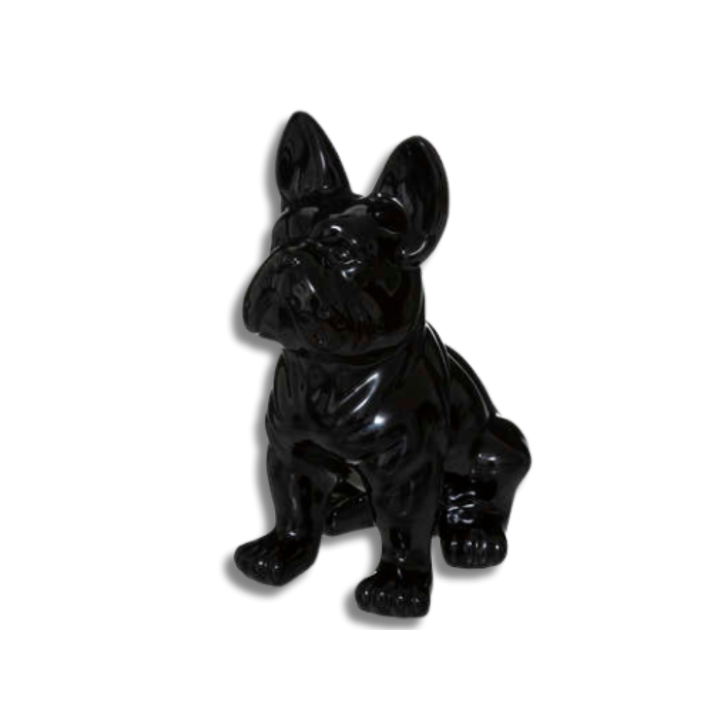 Chien EDEN noir