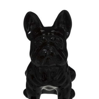 Chien EDEN noir