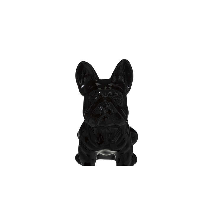 Chien EDEN noir