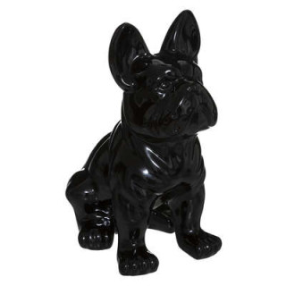 Chien EDEN noir