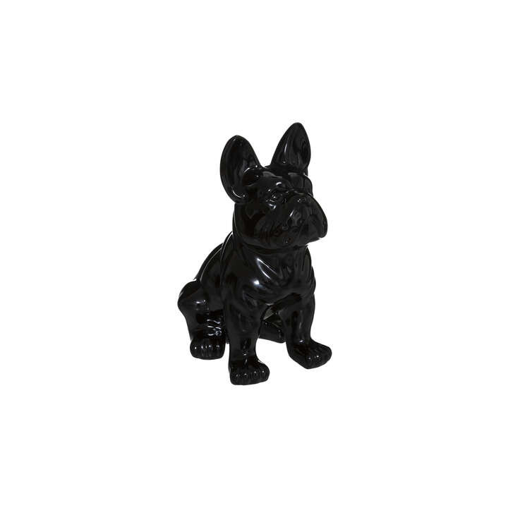 Chien EDEN noir