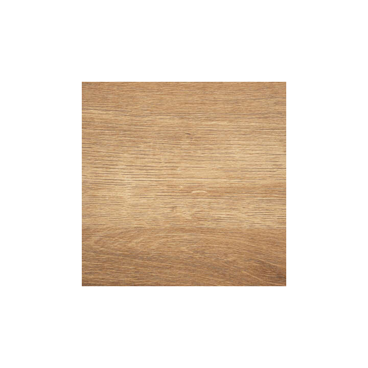 Colva - Table dinet 199750