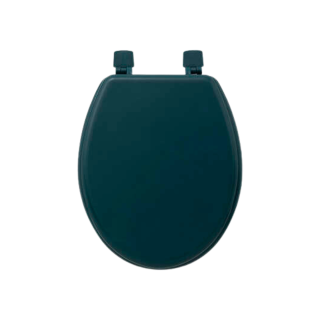 Abattant WC pétrole - 138005P