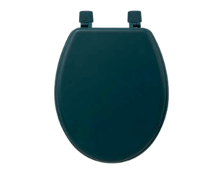 Abattant WC pétrole - 138005P