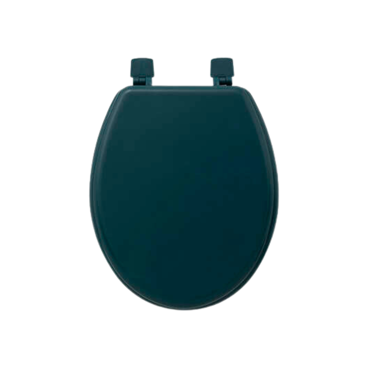 Abattant WC pétrole - 138005P