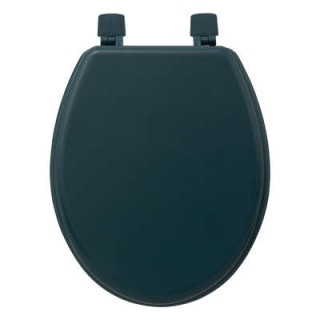 Abattant WC pétrole - 138005P