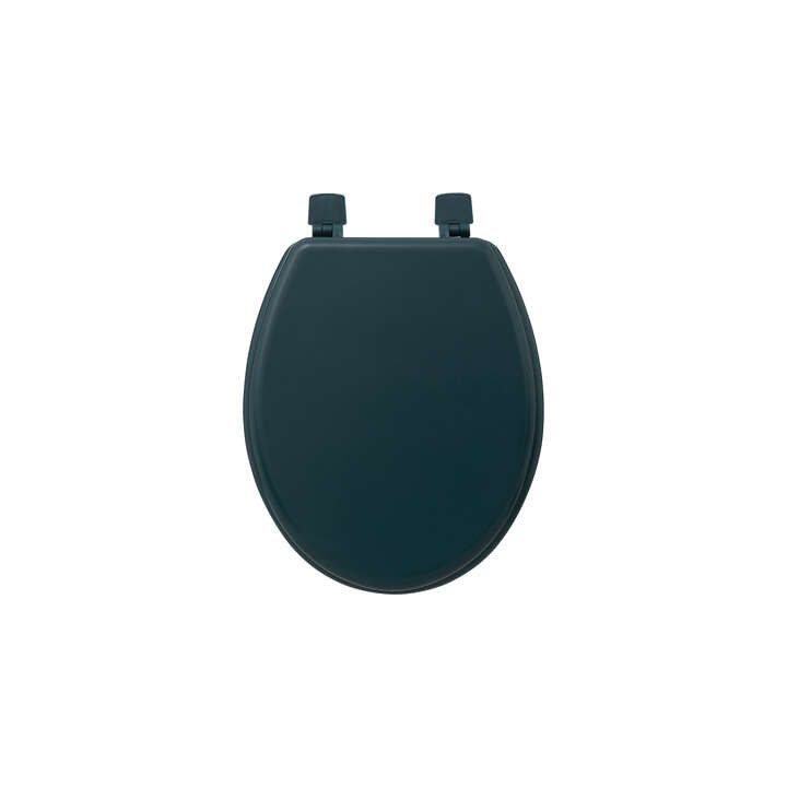 Abattant WC pétrole - 138005P