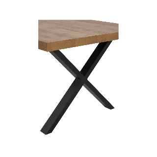 Table Tim 230x100 cm pied "X" TF1915