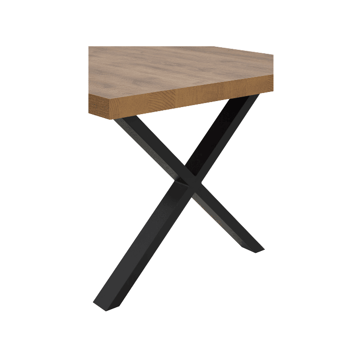 Table Tim 230x100 cm pied "X" TF1915