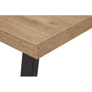 Table Tim 230x100 cm pied "X" TF1915
