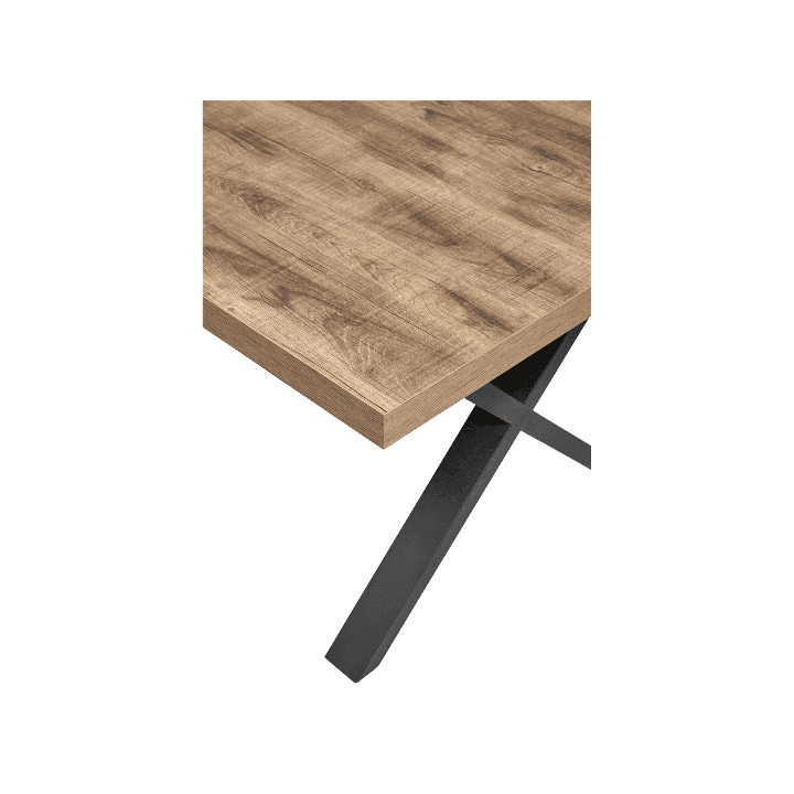Table Tim 230x100 cm pied "X" TF1915