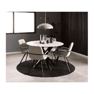Selina Basel 24 chaise avec accoudoirs beige