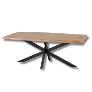 G06494 - 200 table ARYA