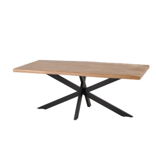 G06494 - 200 table ARYA
