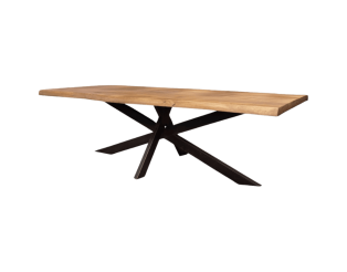 Table G06494-200 Table Dhruv 6759 - 200cm