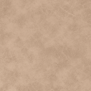 Chaise Tesla Sand
